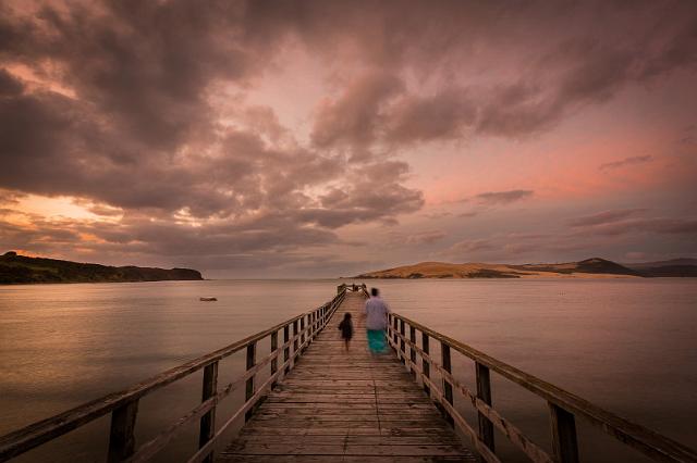 151 Muriwai Pier.jpg